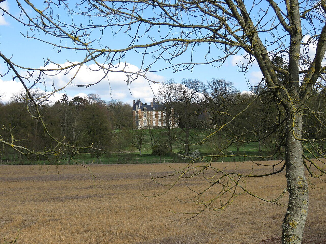 Château de Cogners à Cogners