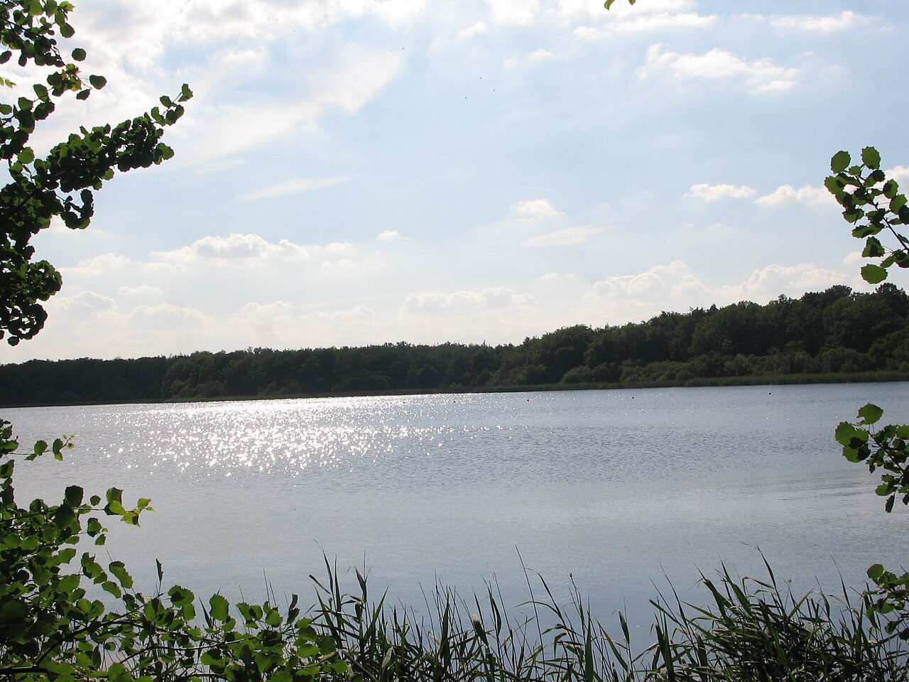 Etang des Noues à Cholet