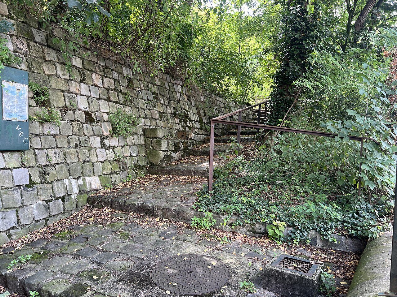Jardin sauvage Saint-Vincent à Paris