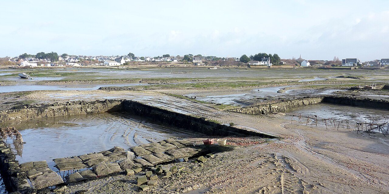 L'Anse du Pô à Carnac