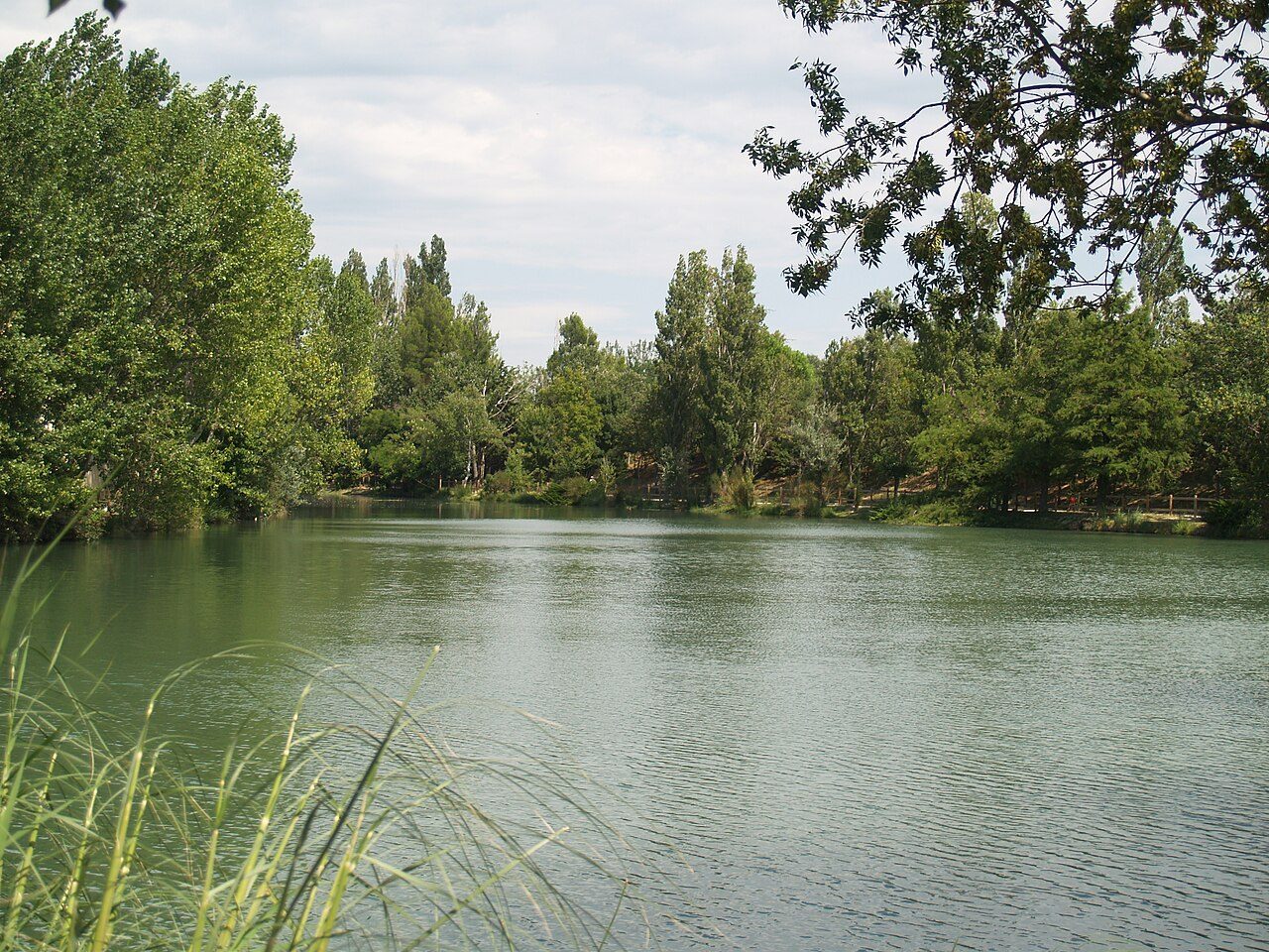 Domaine du Lac à Saint-Martin-de-Crau