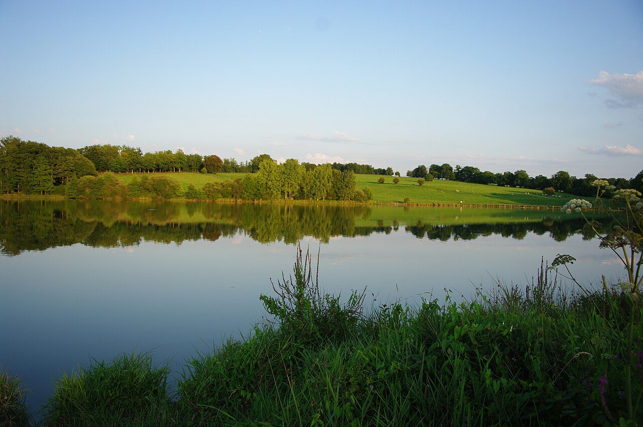 Etang de la Pouge à Saint-Auvent