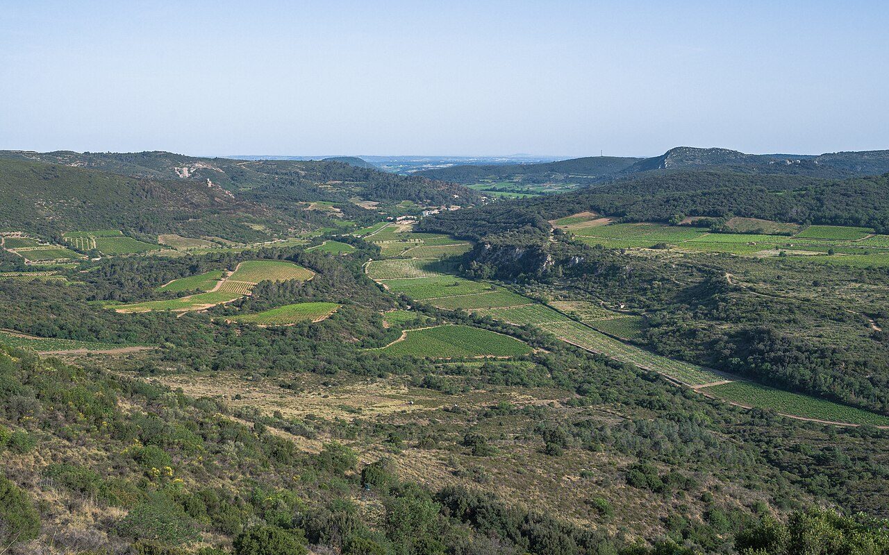 LE PIC DE VISSOU à Cabrières