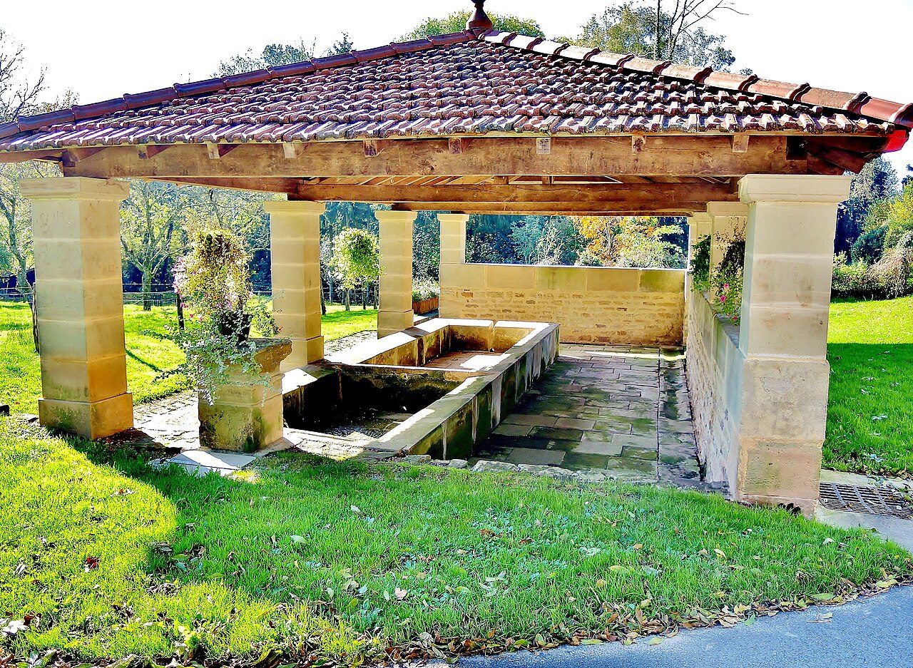 Source de la Saône