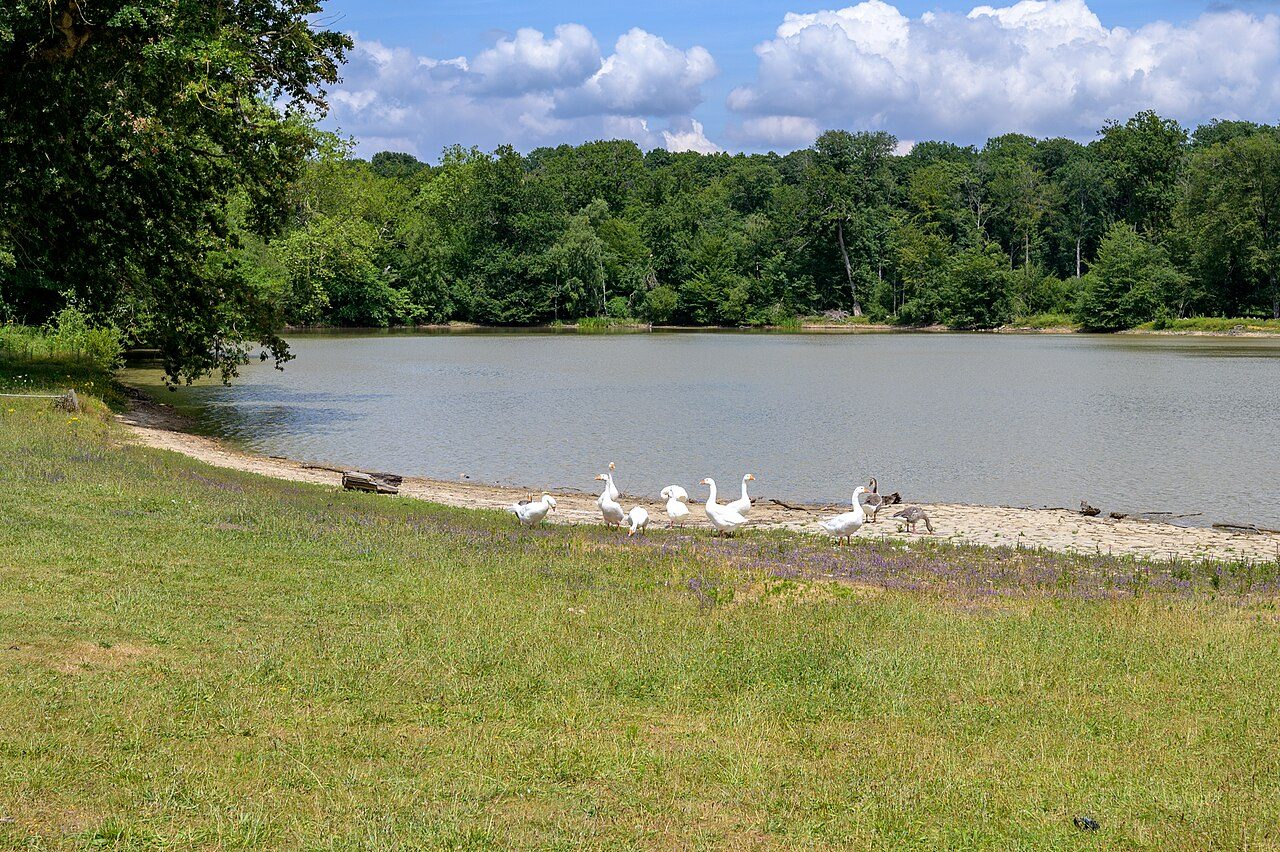 Bergerie nationale - Parc du château à Rambouillet