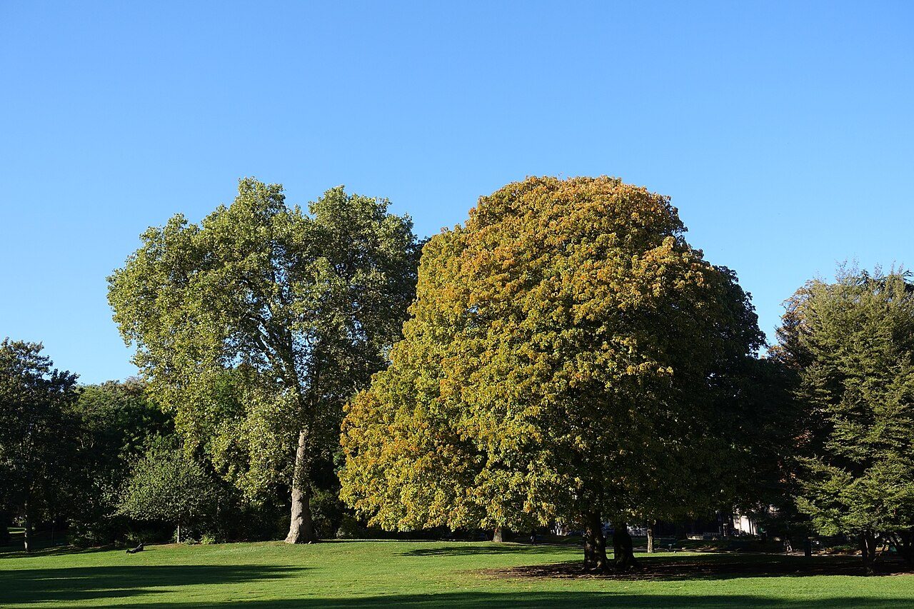Parc Montsouris à Paris