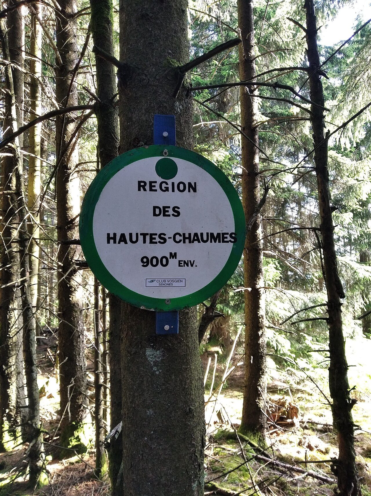 Hautes Chaumes de Moussey
