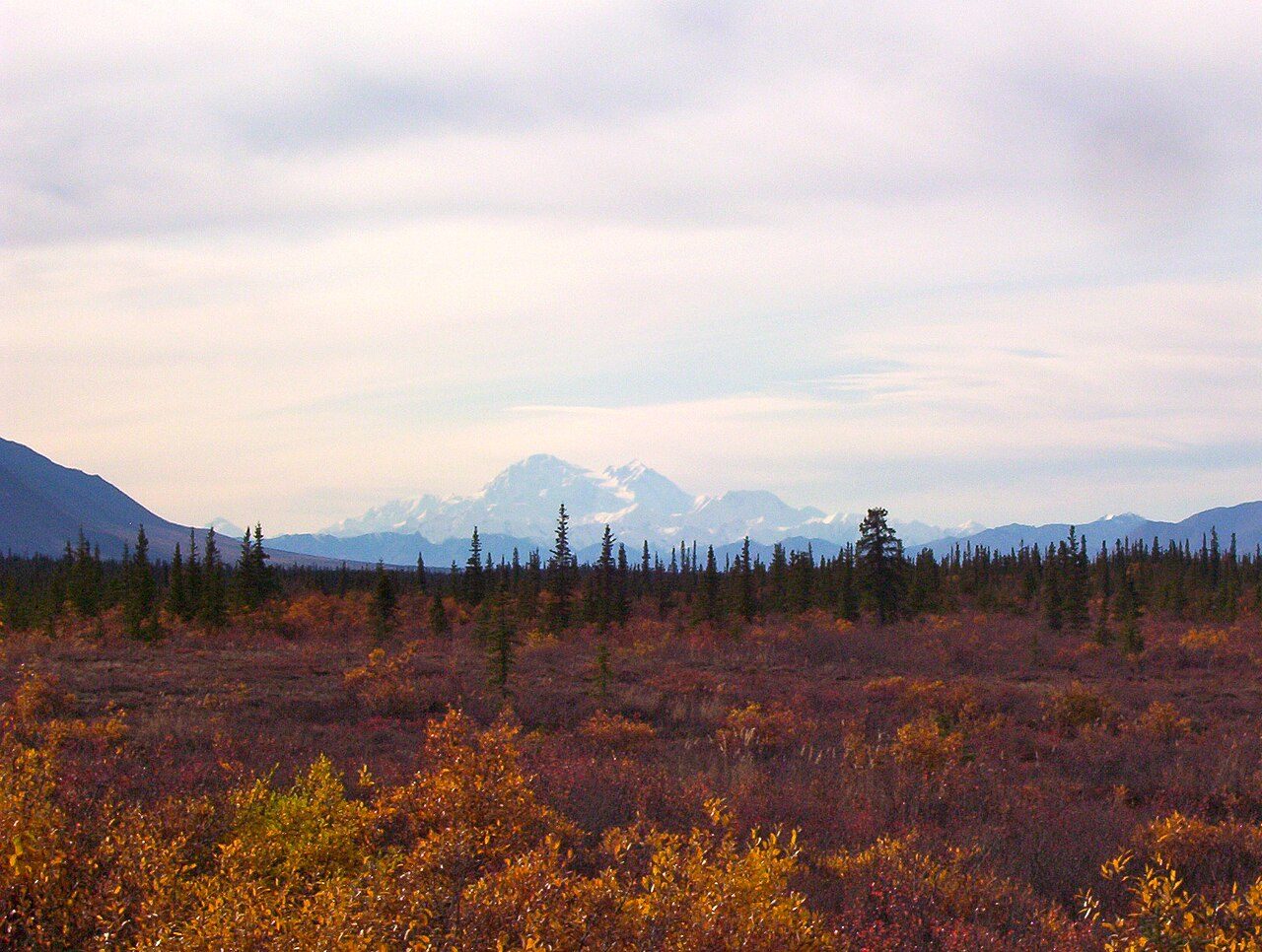 Denali à Montceau-les-Mines