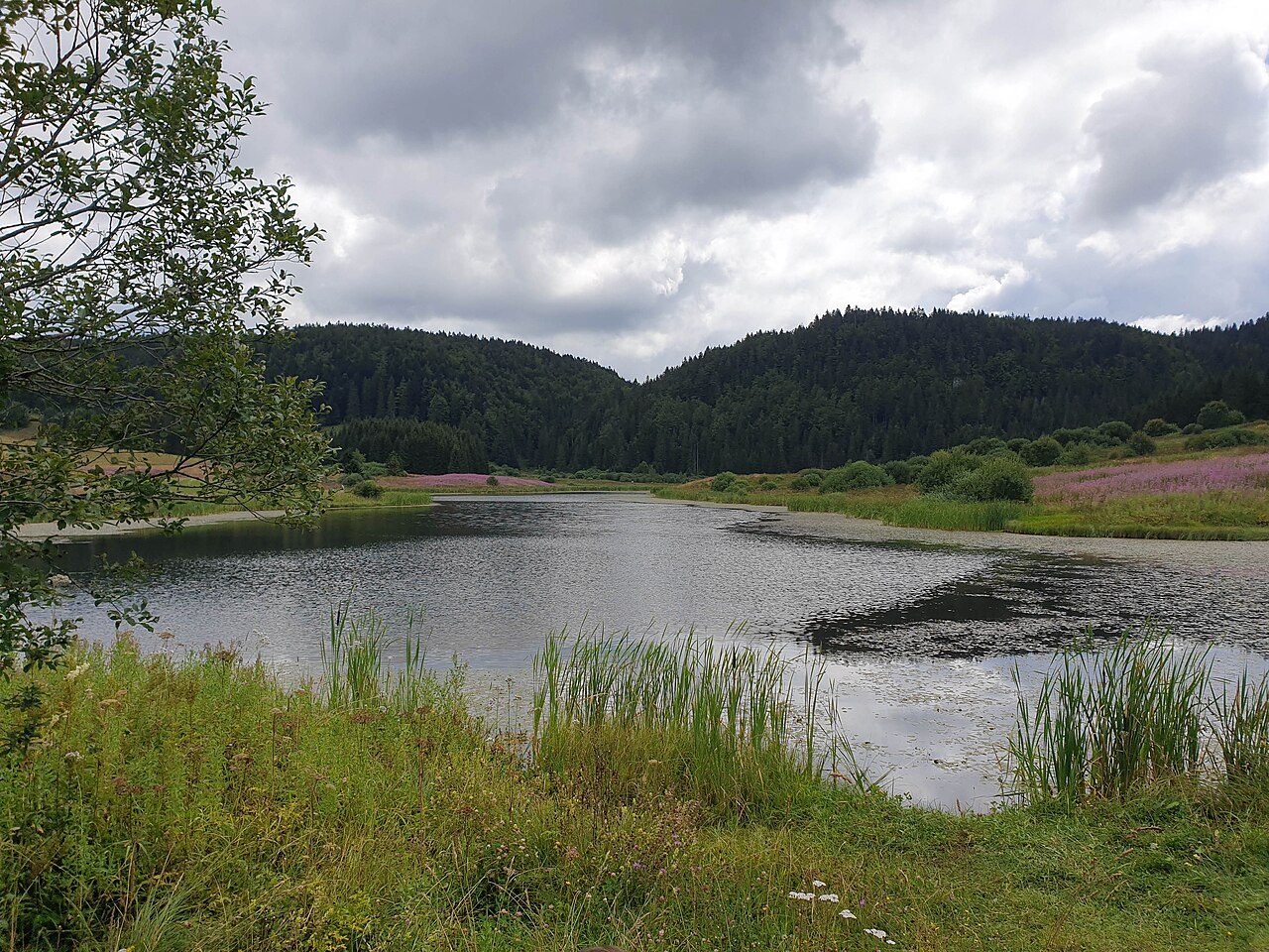 Lac de l'Embouteilleux