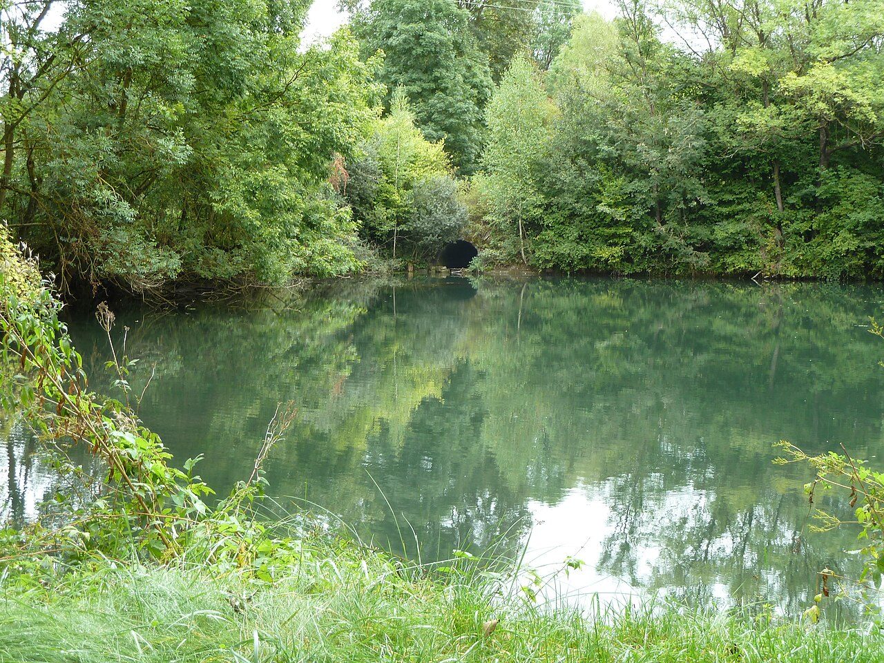 Marais de Pagny sur Meuse