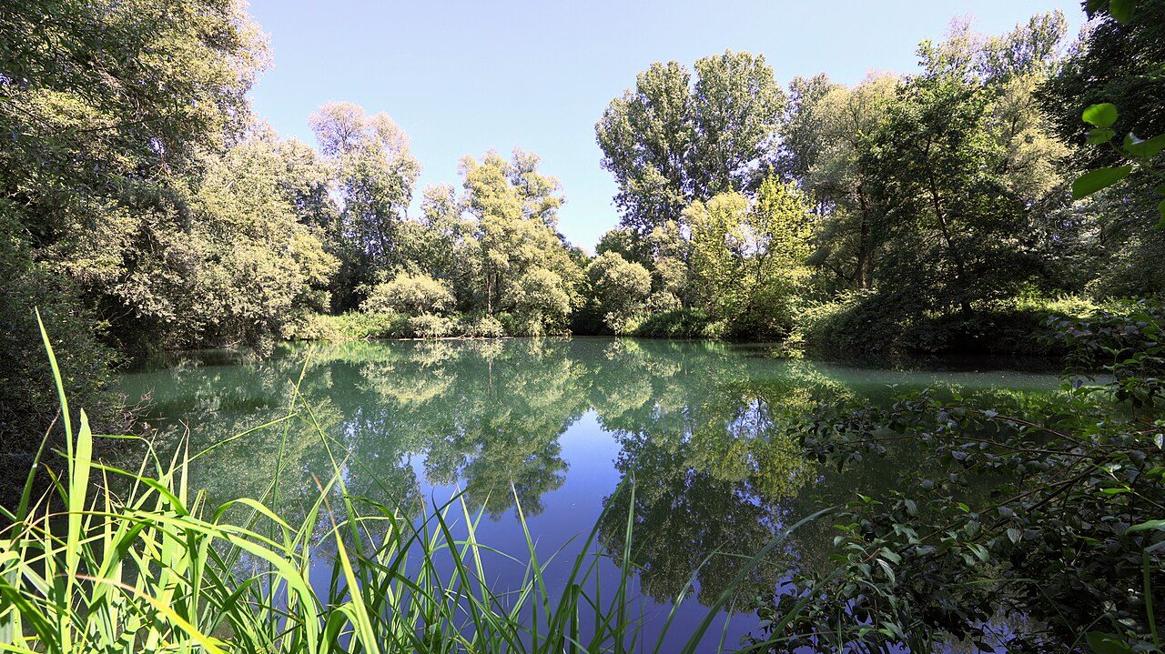 Réserve Naturelle Nationale de l'île de Rhinau