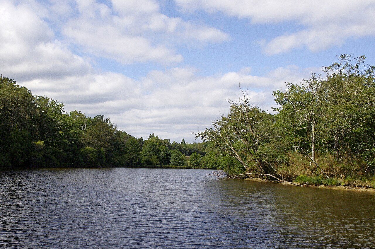 Grand Etang de Saint Estèphe à Saint-Estèphe