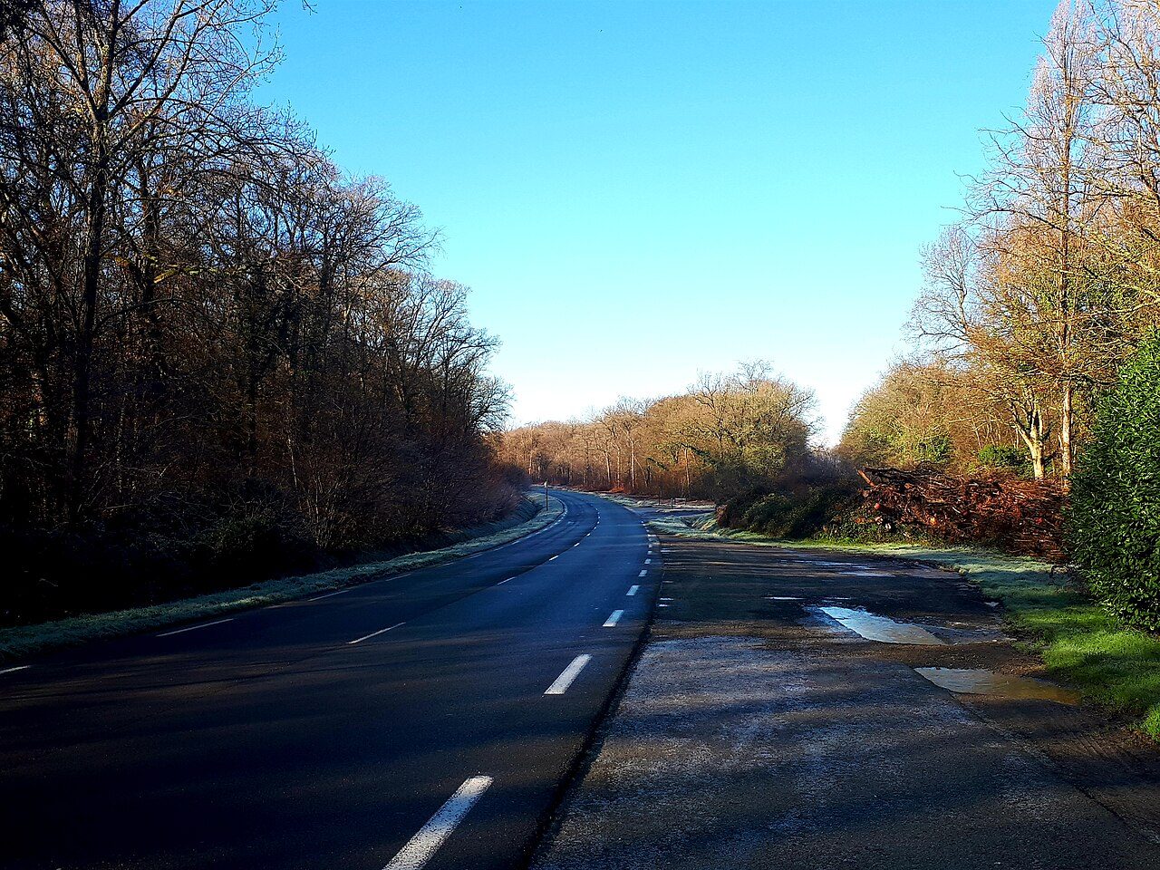 Forêt de Coëtquen à Saint-Hélen