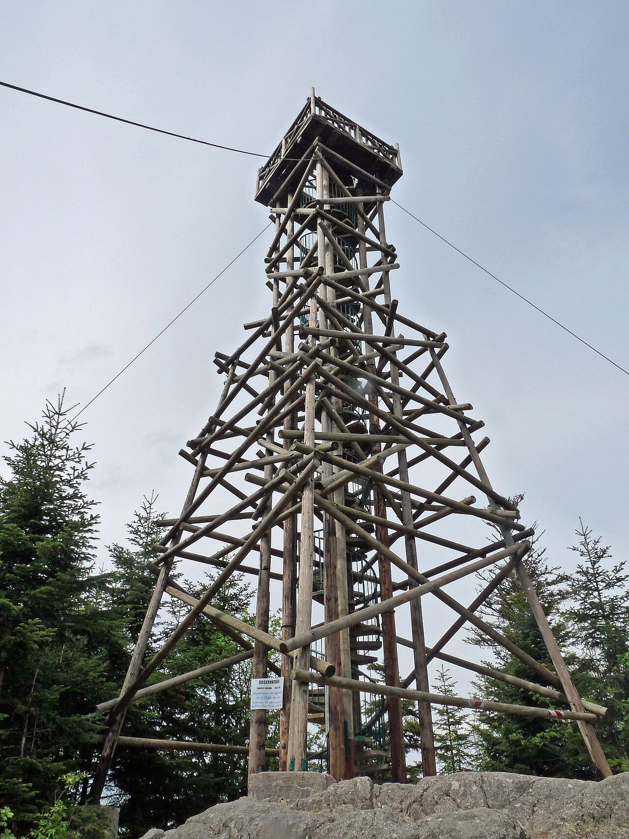La tête de Mérelle