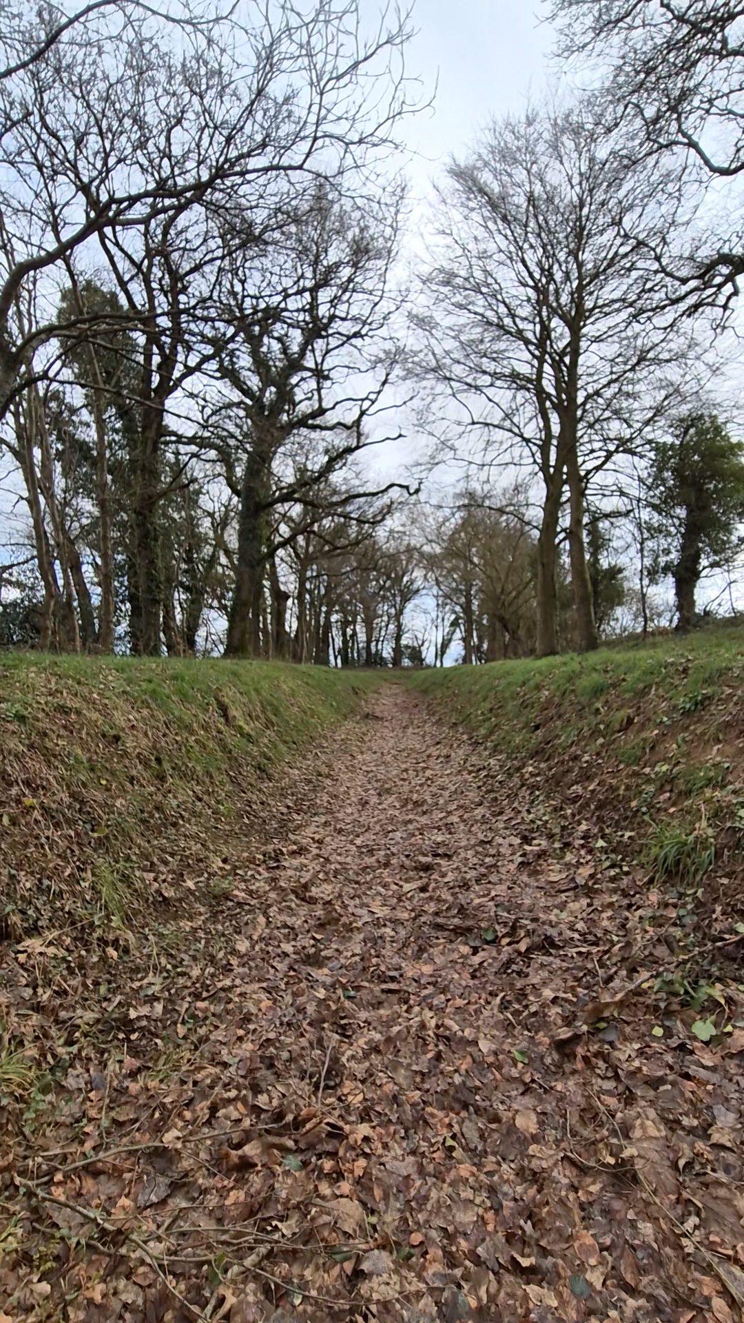 Rigole d'Hilvern à Saint-Caradec
