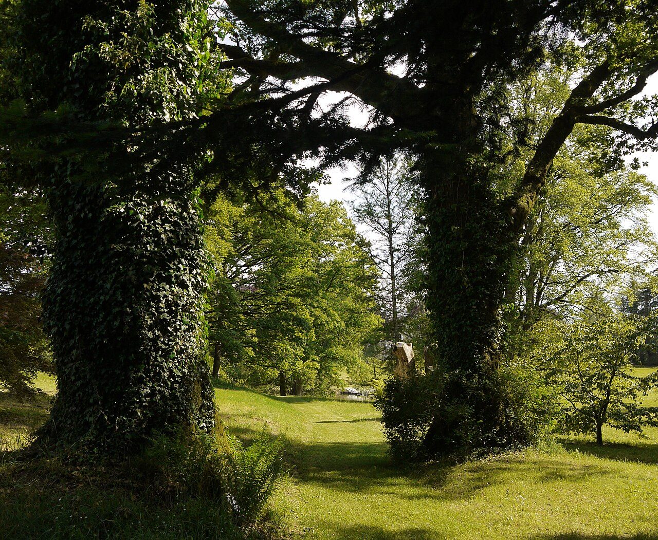 Arboretum du château de Neuvic d'Ussel à Neuvic