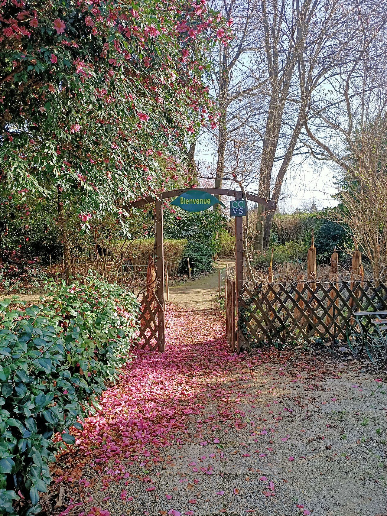 Parc Floral Les Camellias de la Prairie à Alès