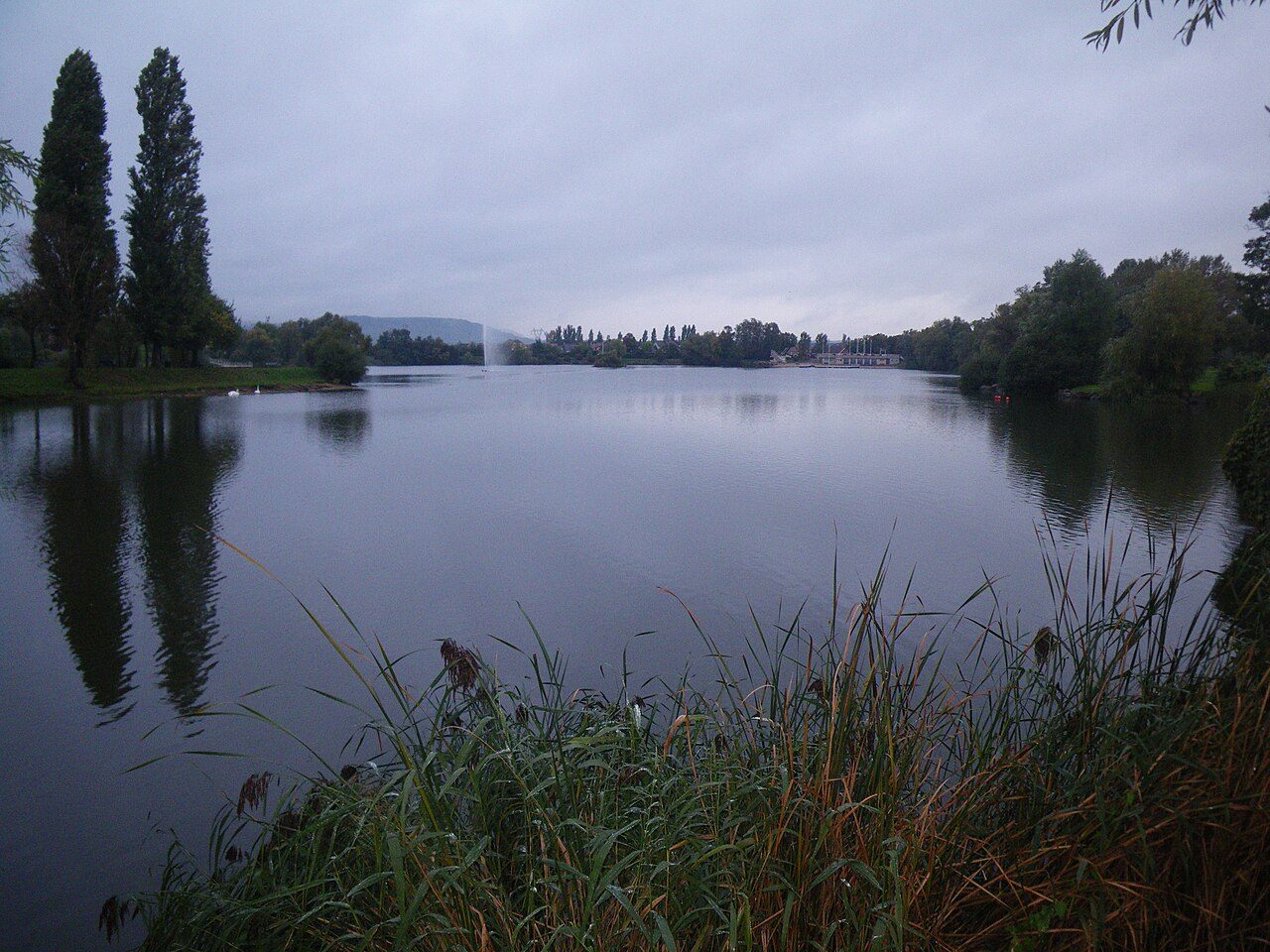 Étang de la Ballastière à Hagondange