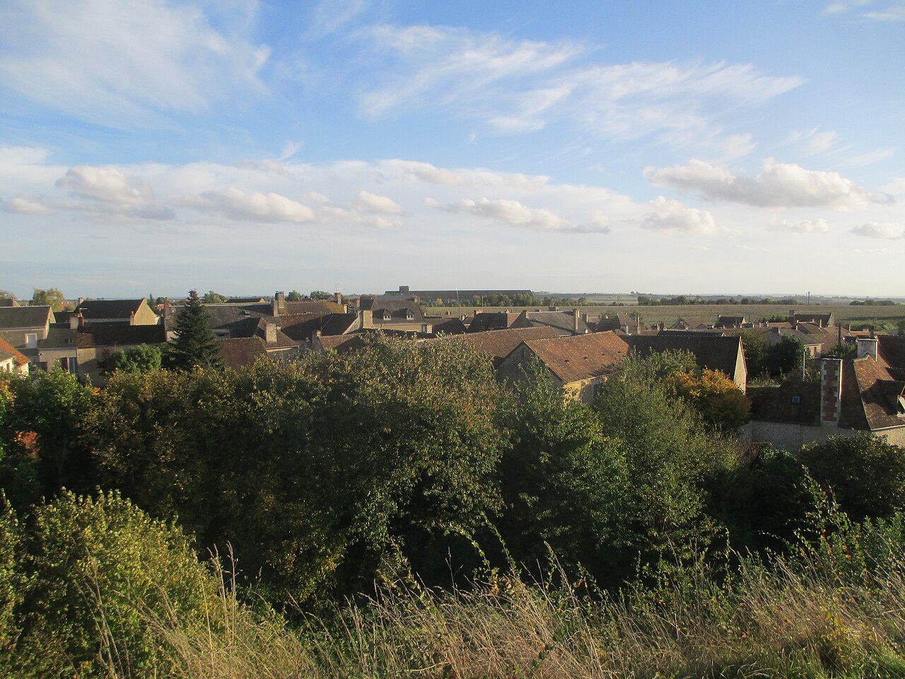 MOTTE FÉODALE DE SAINT RÉMY DU VAL à Saint-Rémy-du-Val