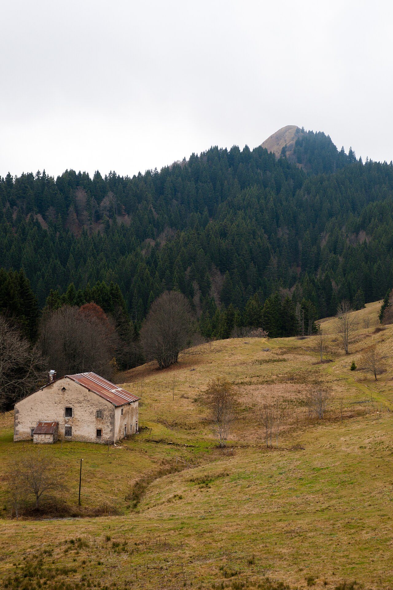 La Borne au Lion, Crêt de Chalam