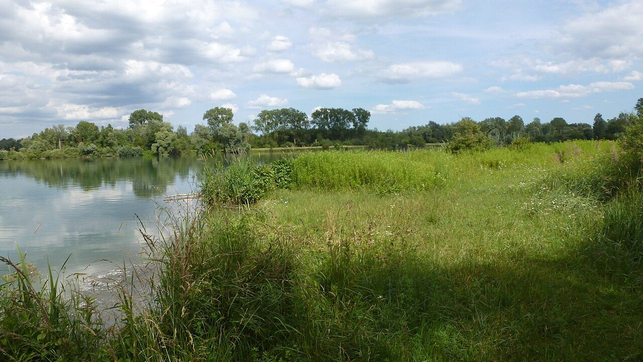 Reserve naturelle de l'île du Rohrschollen