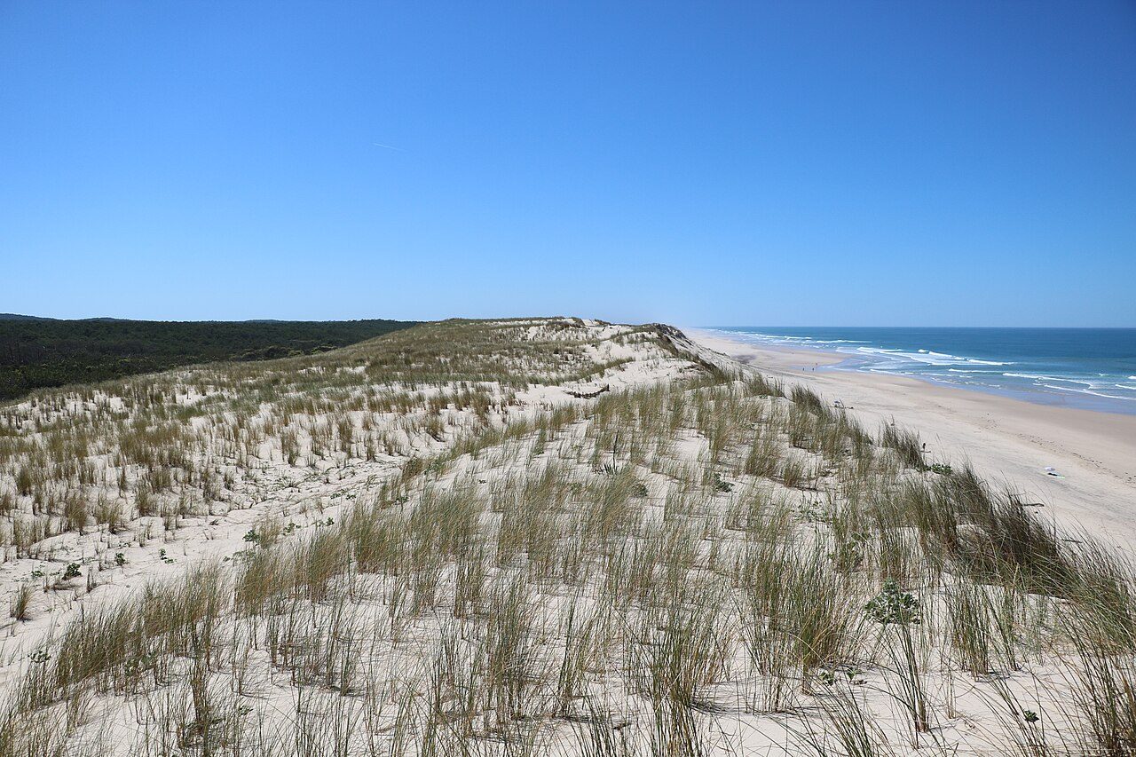 Réserve naturelle des Dunes et Marais d'Hourtin à Hourtin
