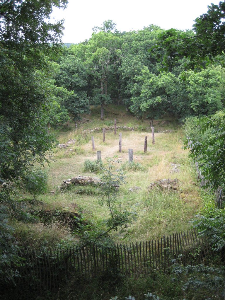 La Motte Castrale d'Olivet