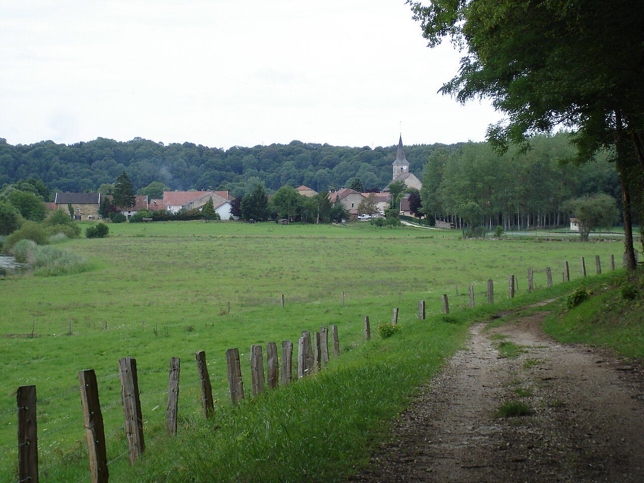 Forêt d'Harréville-les-Chanteurs