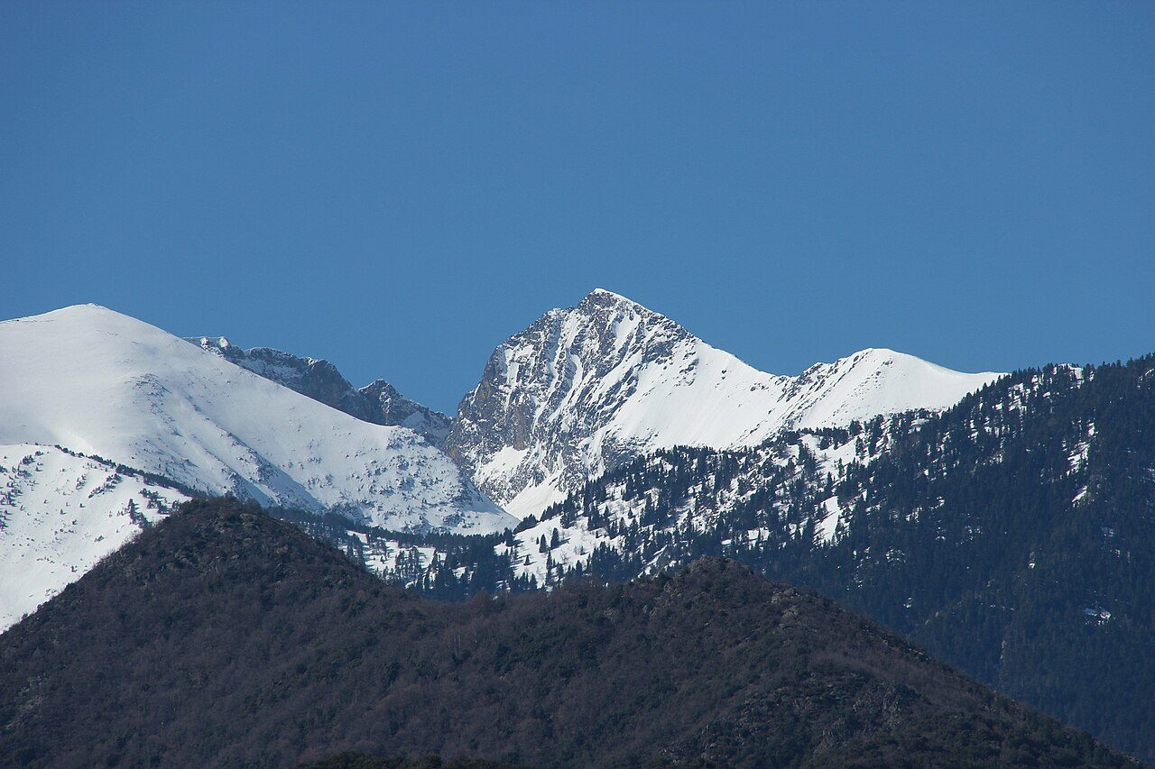 FORET DU CANIGOU à Valmanya