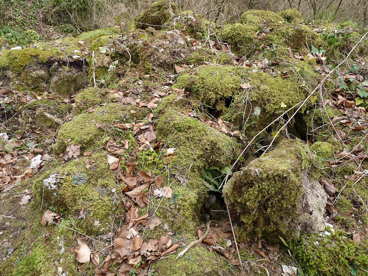 Tufière de Rolampont