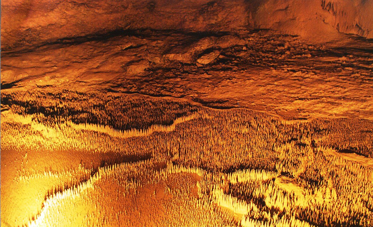 Grotte de Trabuc à Mialet