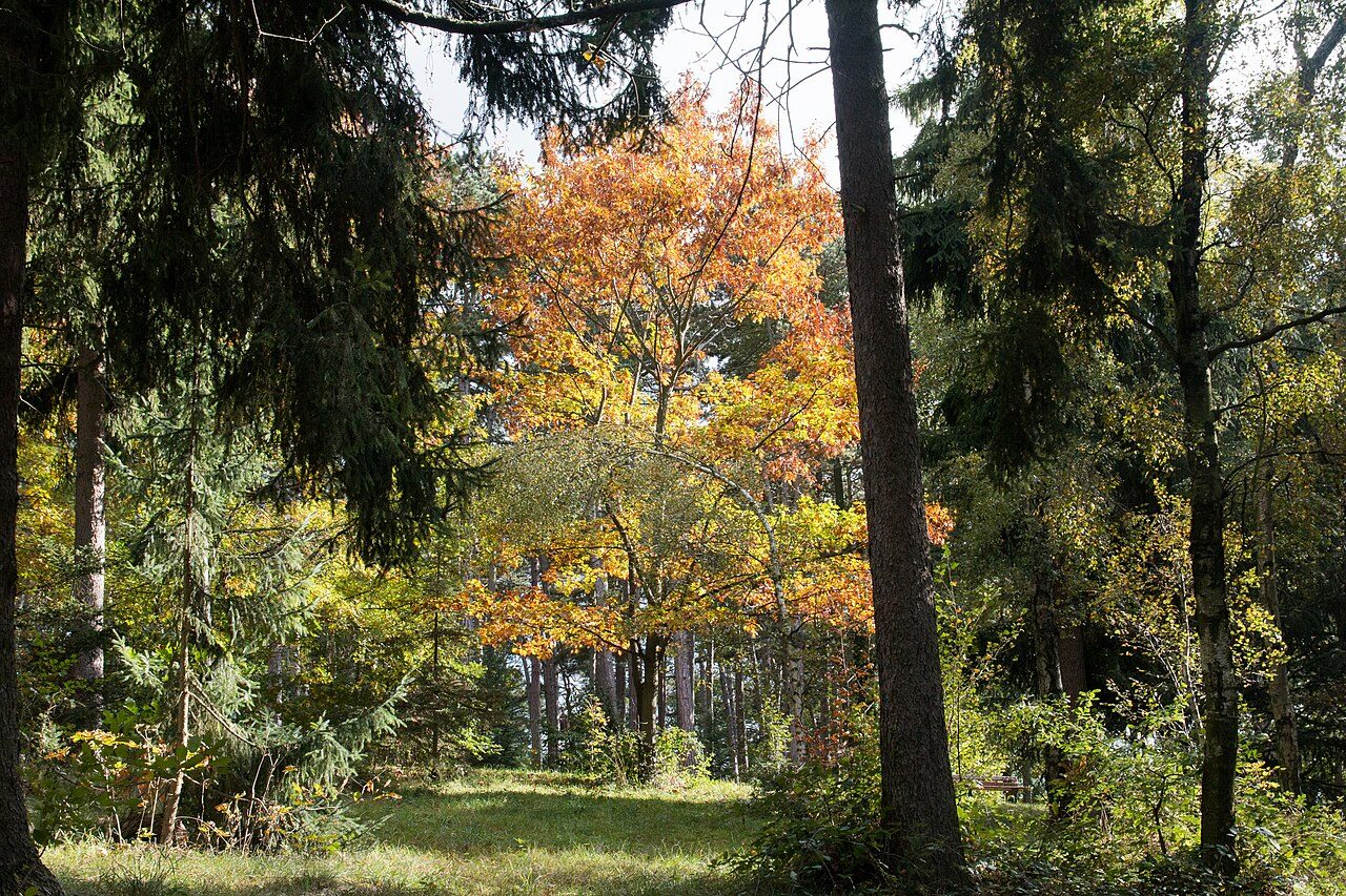 Jardin des Plantes