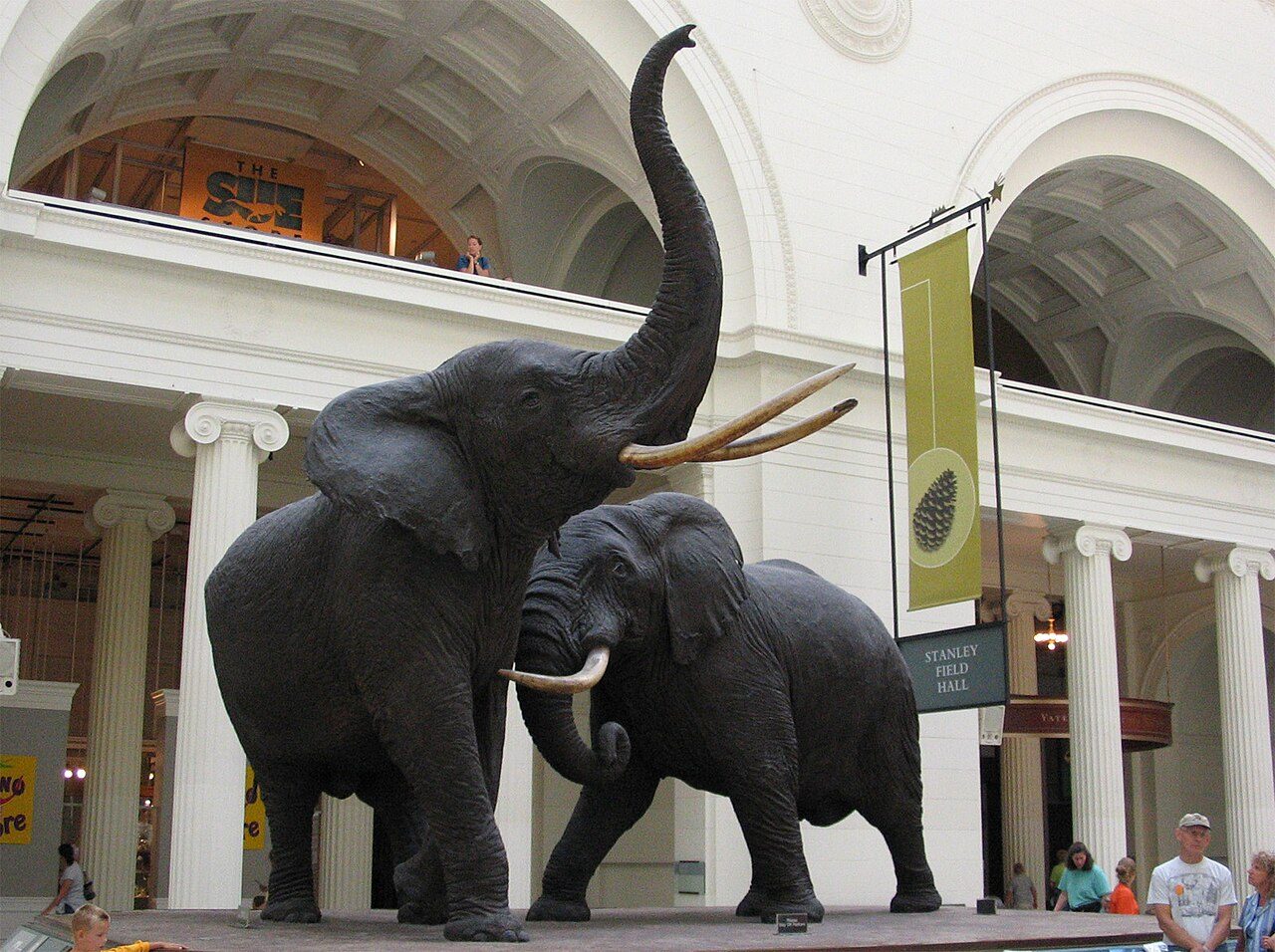 Museum d'Histoire Naturelle