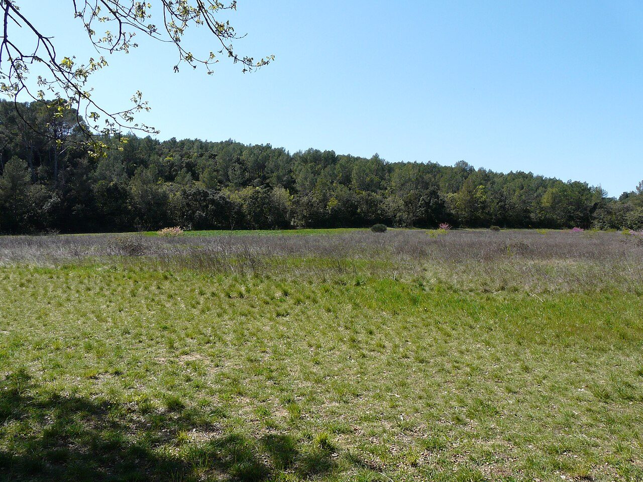 RÉSERVE NATURELLE DU LEZ, PARC DE LUNARET à Montpellier