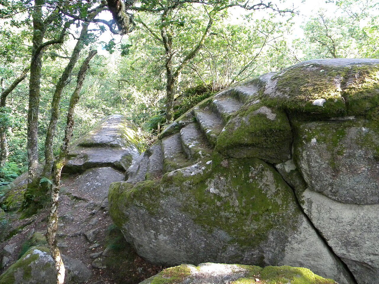 La Pierre aux Neuf Gradins à Soubrebost