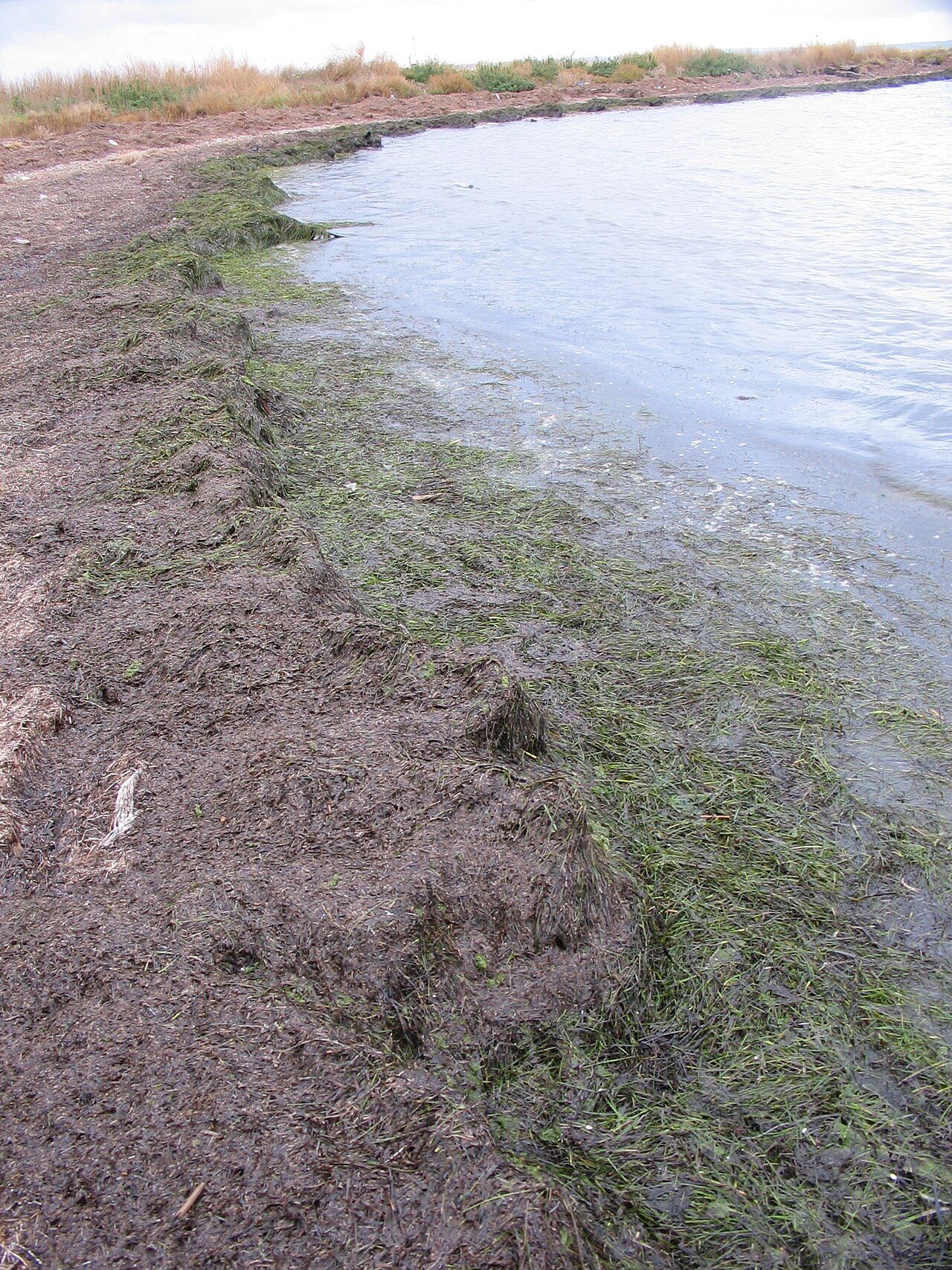 Plage de Carteau à Port-Saint-Louis-du-Rhône