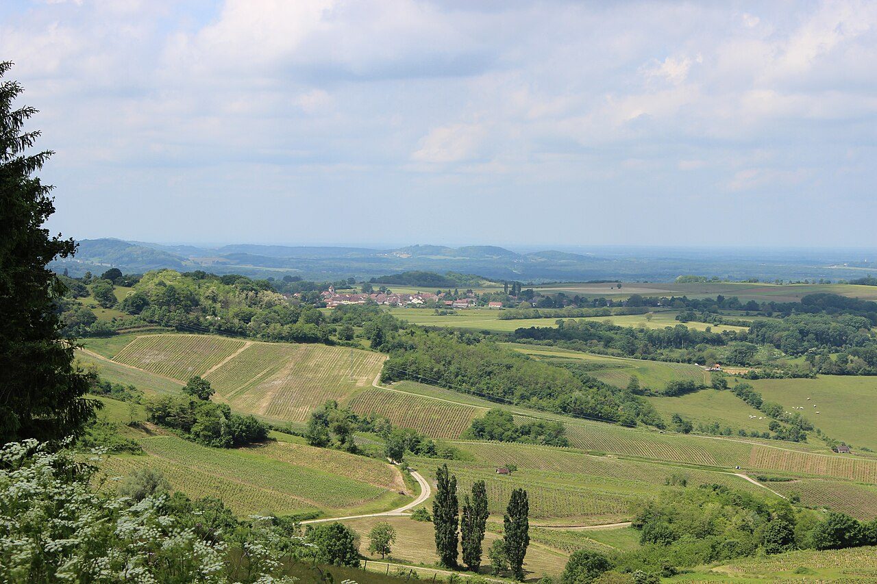 Belvédère du vignoble à Pupillin