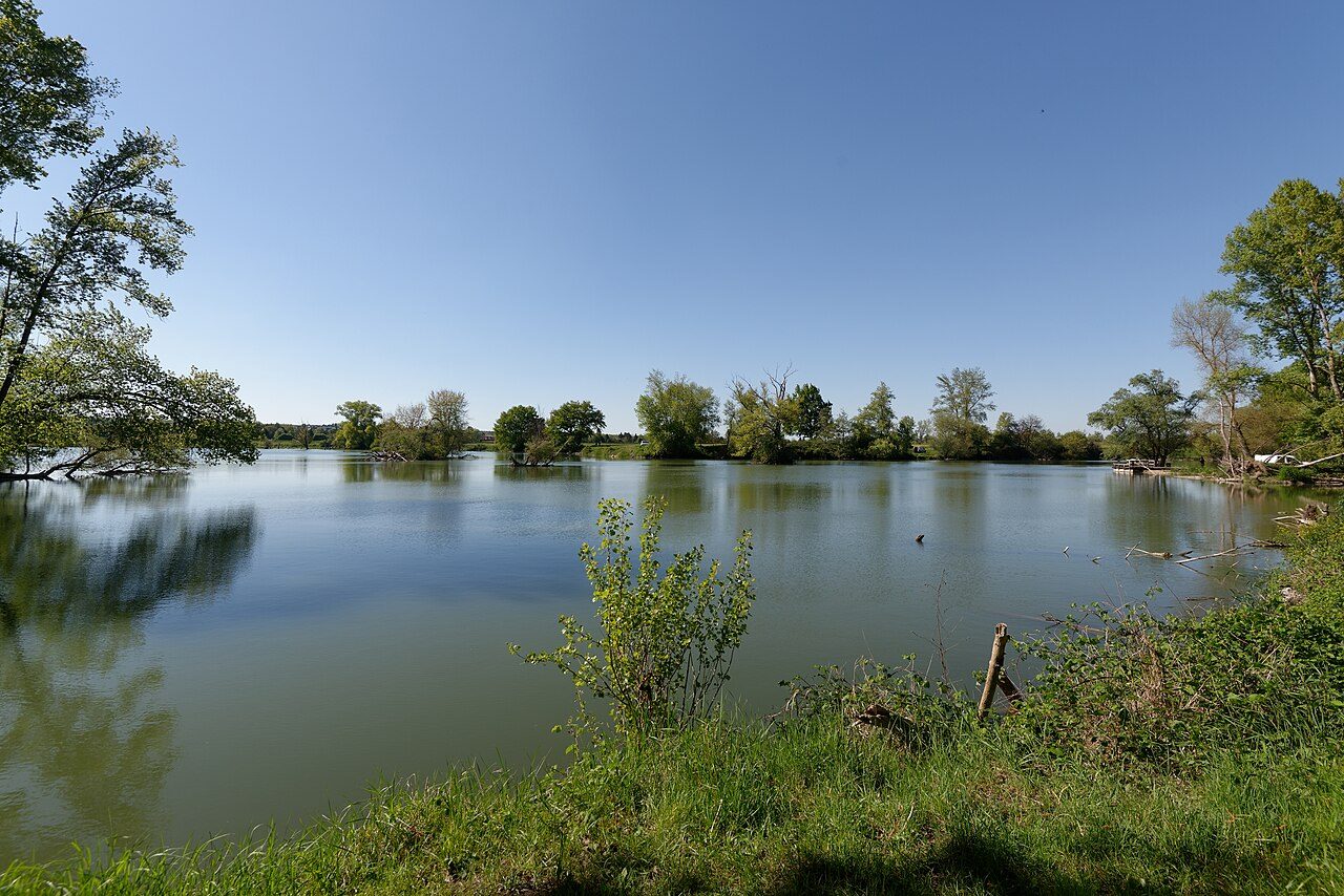 Boire des Carrés à Saint-Rémy-en-Rollat
