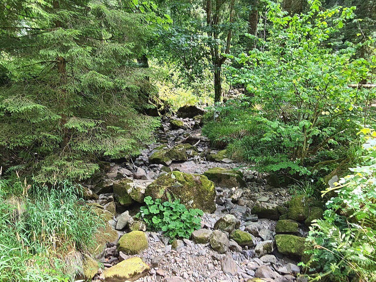Défilé de Straiture
