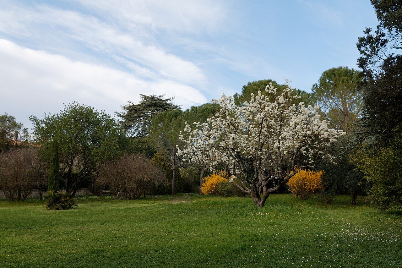 Jardin de l'Aube de Villevieille