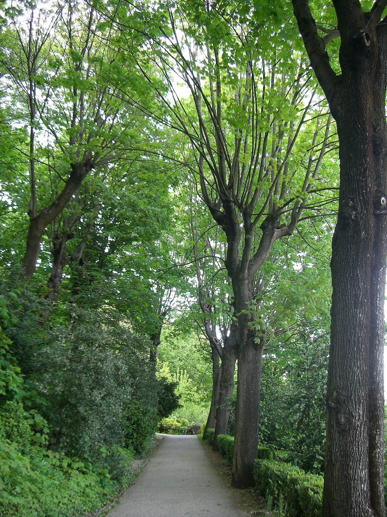 Jardin du Rosaire dans le Parc des Hauteurs à Lyon 5e Arrondissement