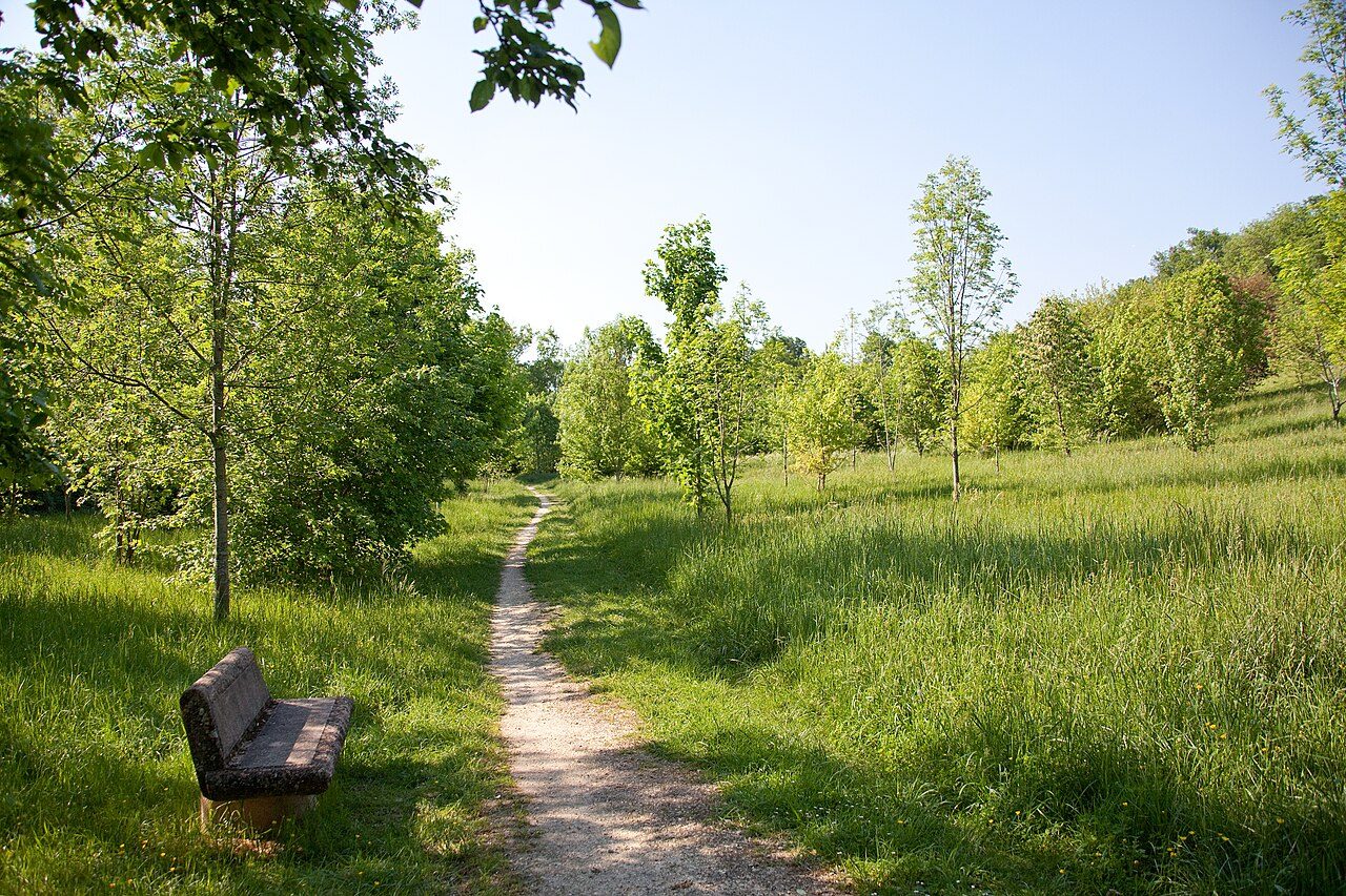 Bois de Loc Boué à Bouliac