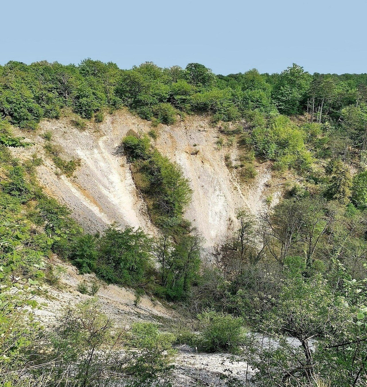 Le Cul du Cerf