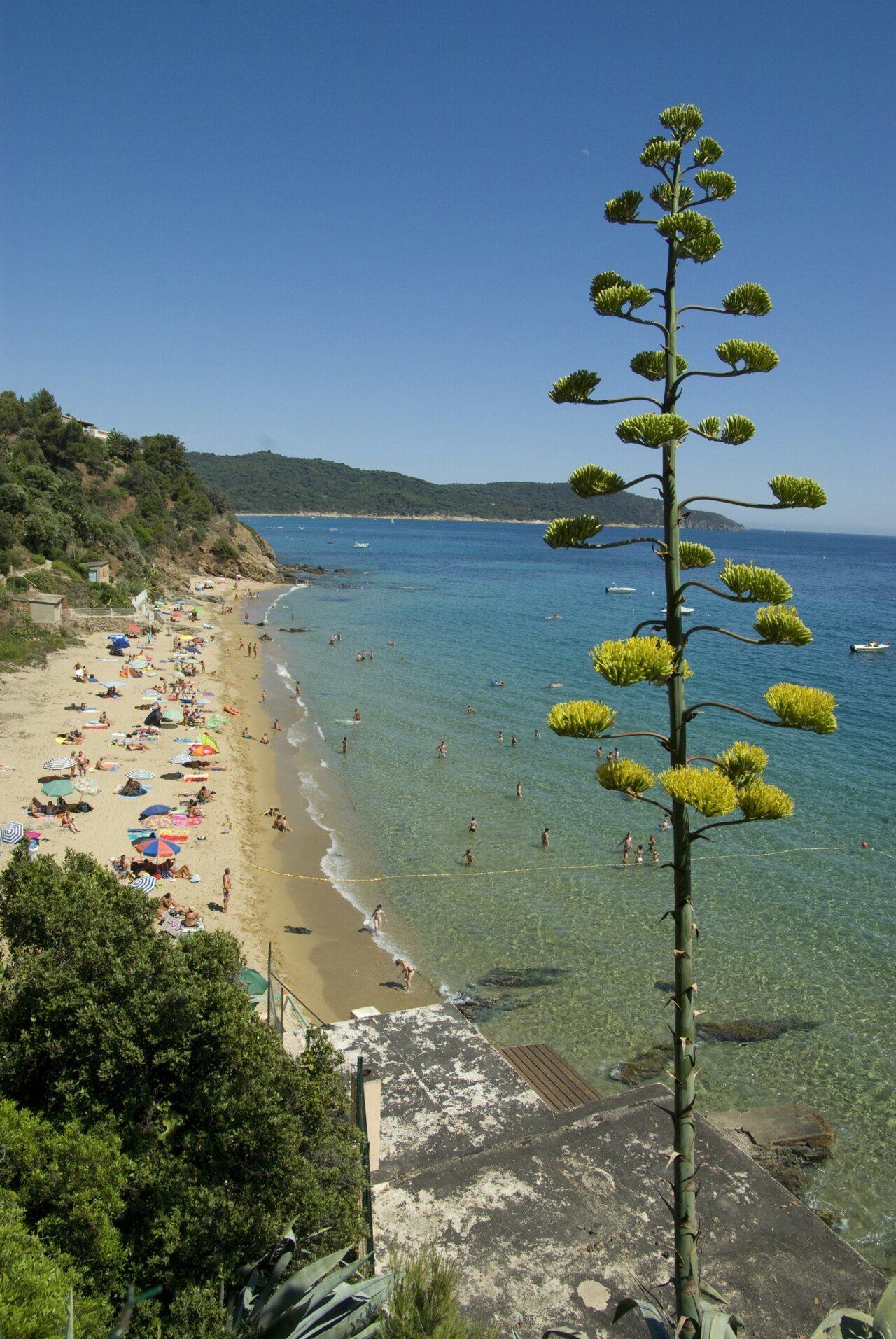 Plage de Sylvabelle