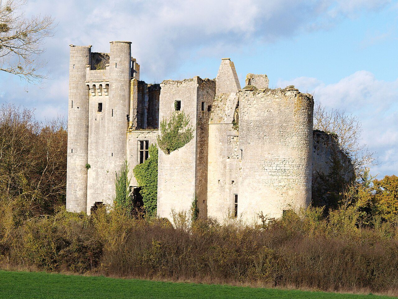 Château de Passy-les-Tours à Varennes-lès-Narcy