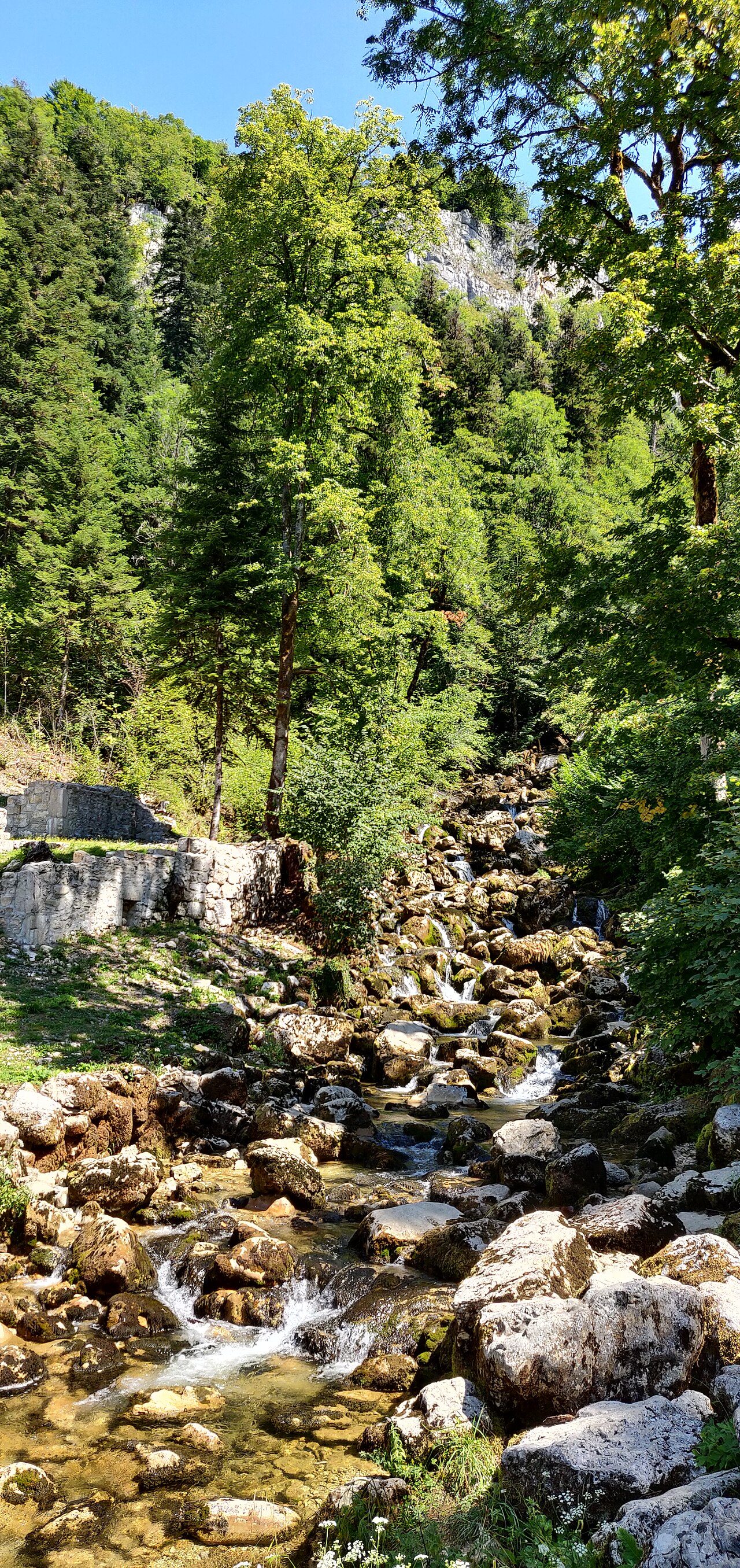 Cascade et reculée de la Frasnée