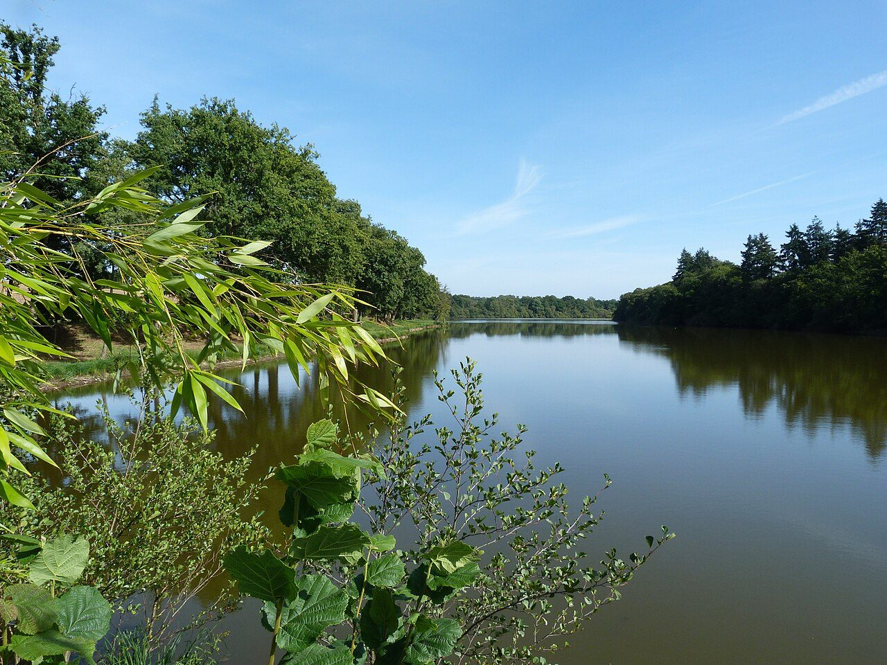 Étang du Moulin aux Moines à Argentré-du-Plessis