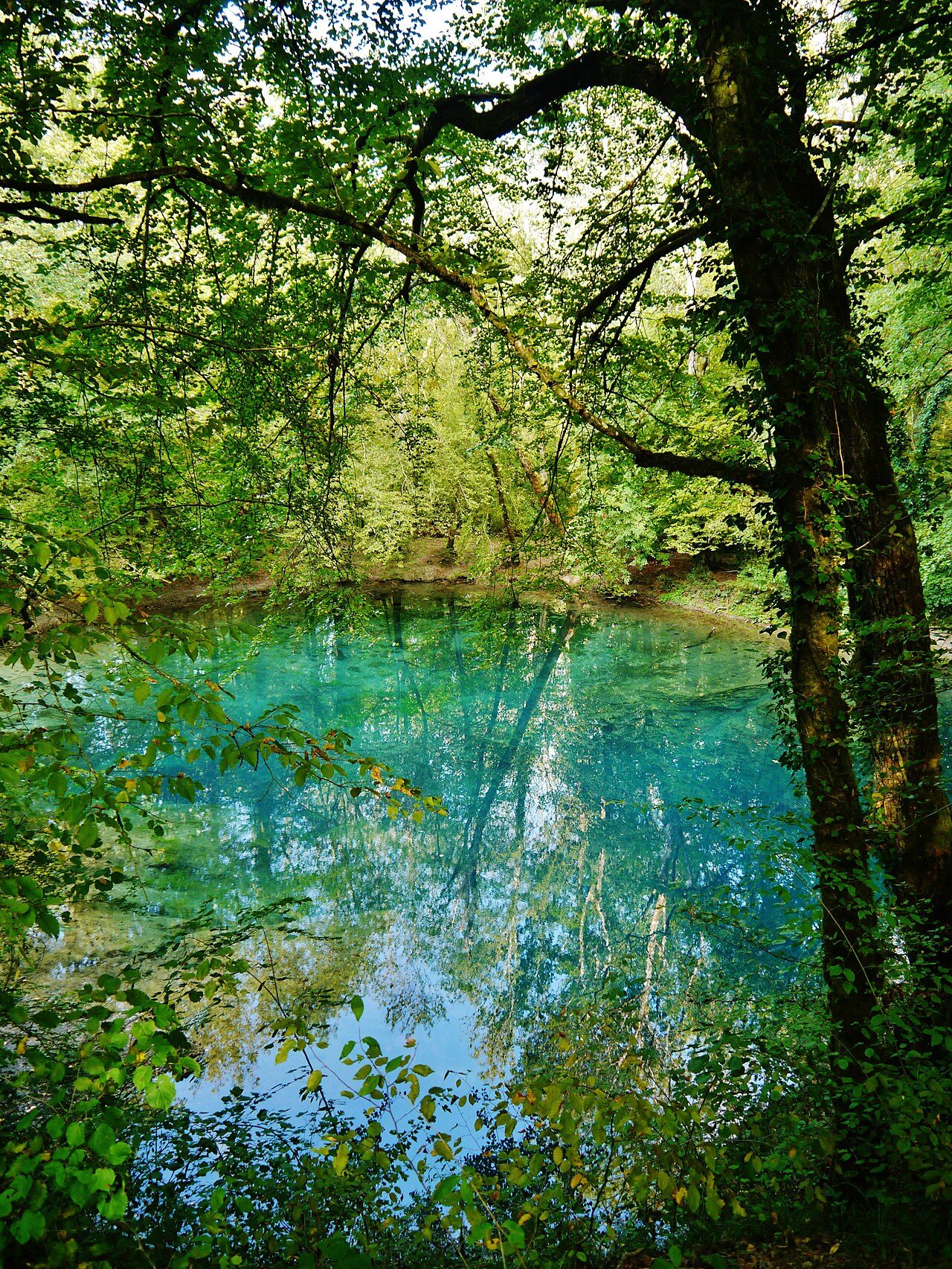 Source du Planey
