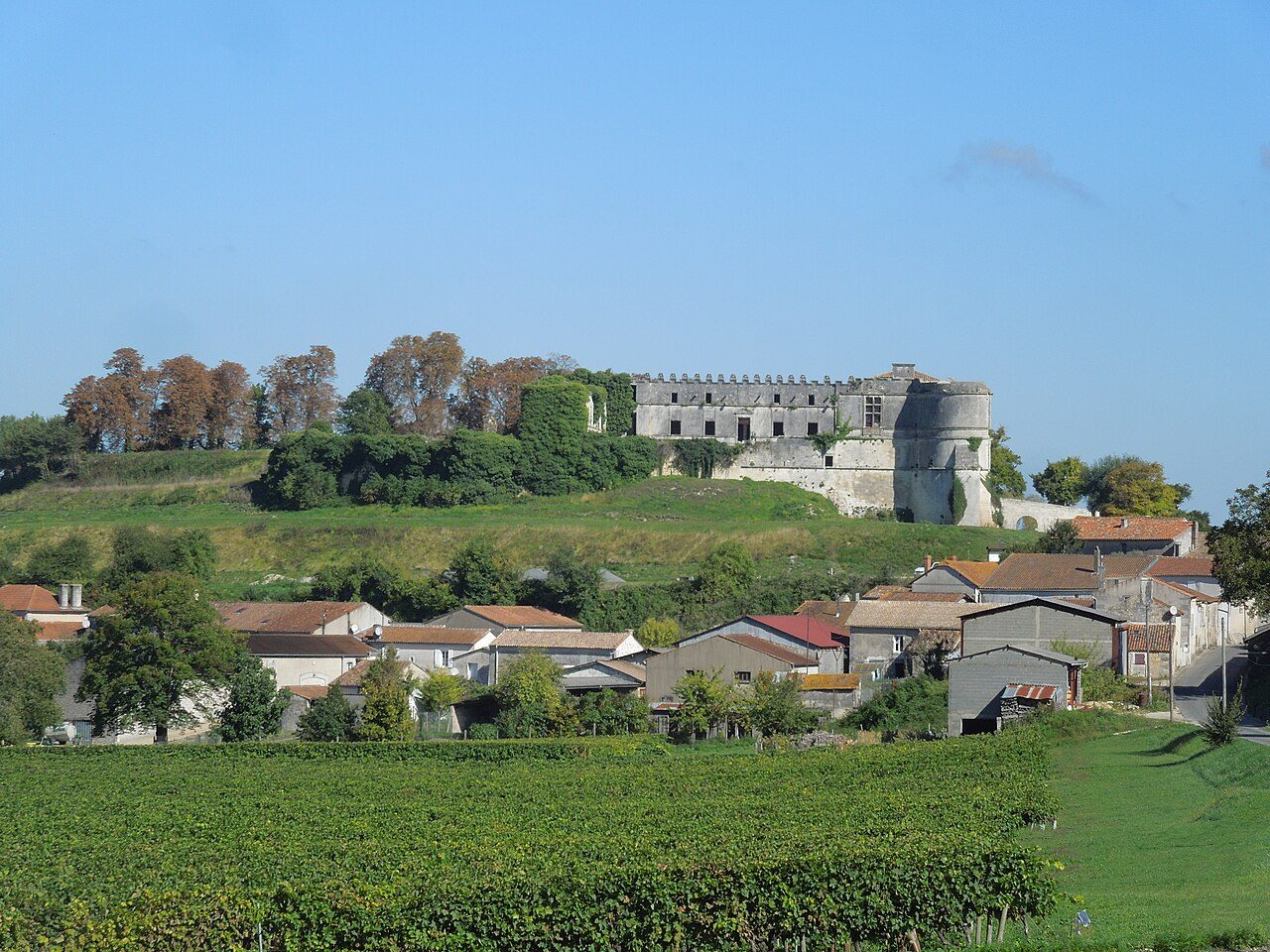 Château de Bouteville à Bouteville