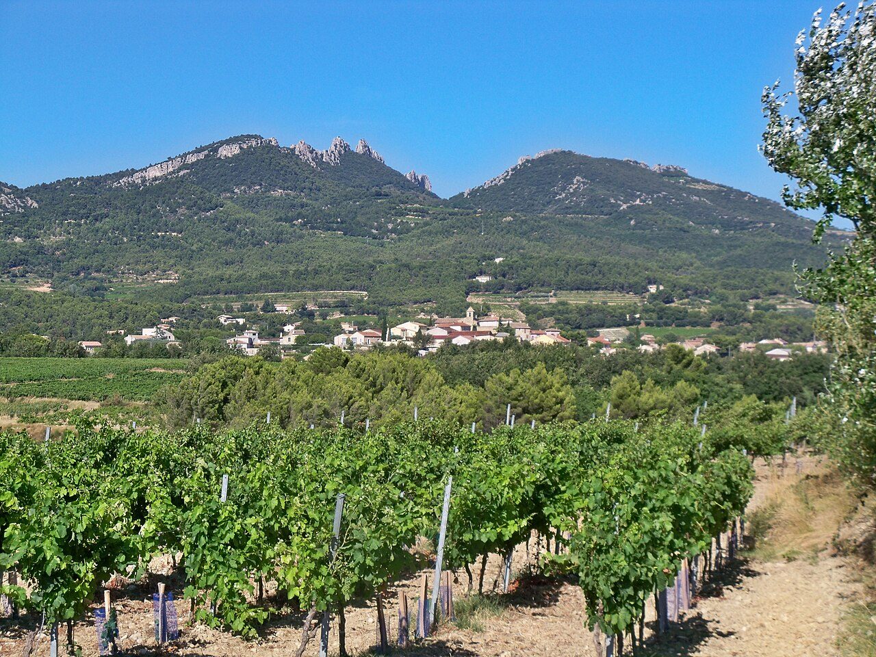 Le village de Vacqueyras à Vacqueyras